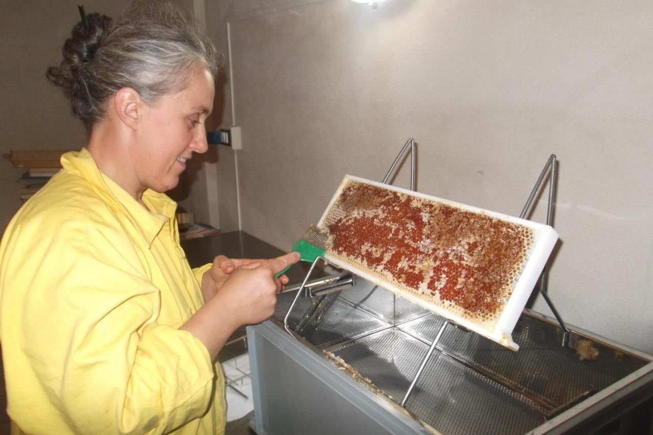 Agriturismo Di Charme E Ristorante Stallato Il Filo Di Paglia Carro Dış mekan fotoğraf