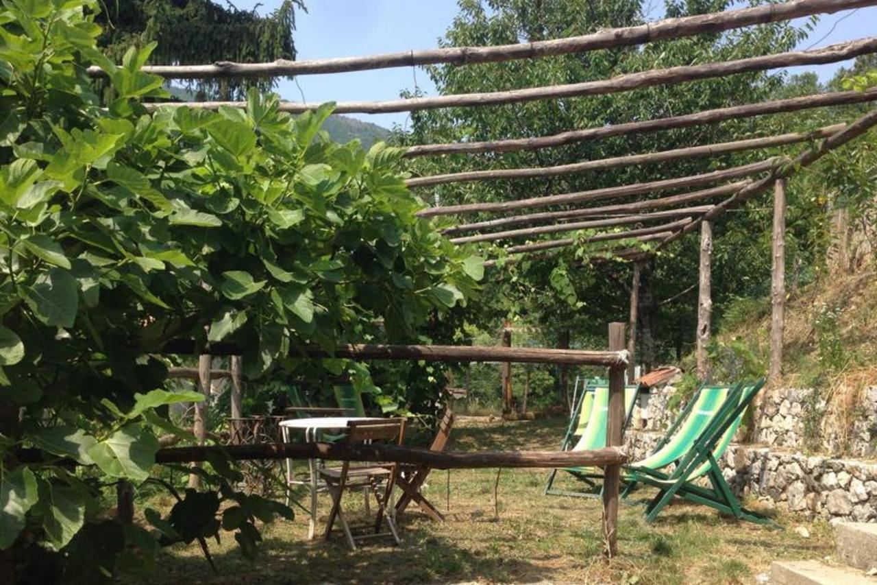 Agriturismo Di Charme E Ristorante Stallato Il Filo Di Paglia Carro Dış mekan fotoğraf