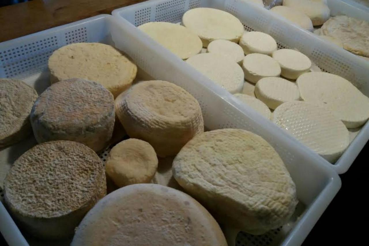 Agriturismo Di Charme E Ristorante Stallato Il Filo Di Paglia Carro Dış mekan fotoğraf